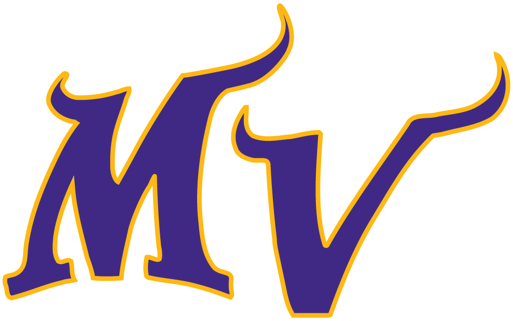Minnesota Vikings 2004-Pres Alternate Logo t shirt iron on transfers